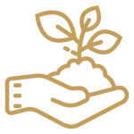 Energy icons planting trees v2